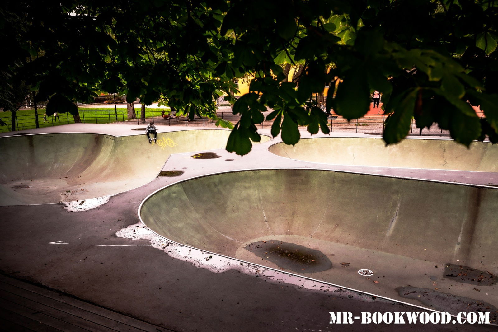 Björnsans skatepark